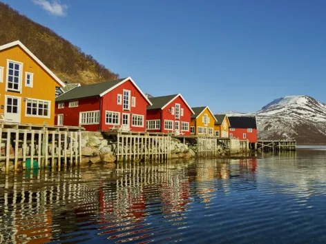 Lauklines outside of Tromso in Northern Norway