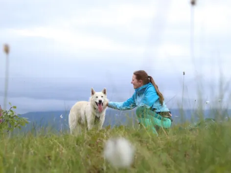 Dame som koser med en husky i Tromsø