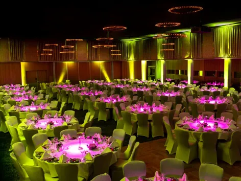 Venues at Radisson Blu Hotel