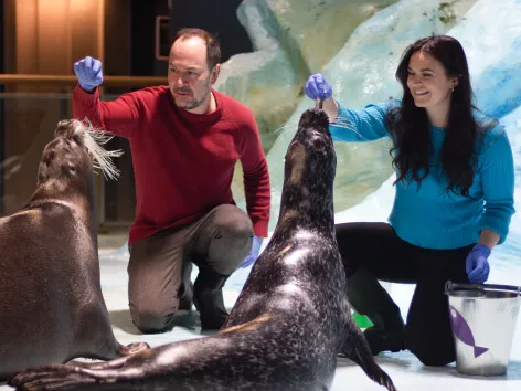 Man and woman feeding the seals at Polaria