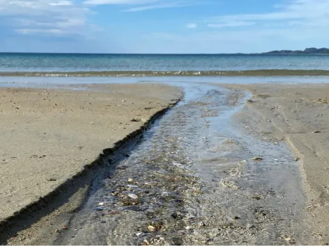 Close up of Grøtfjord beach 