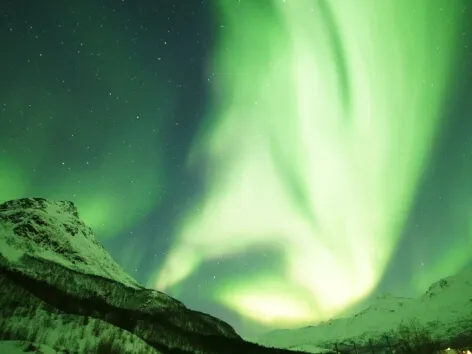 Amazing Arctic Nordlys