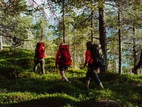 Family walking in the Arctic nature during summer in the Tromso