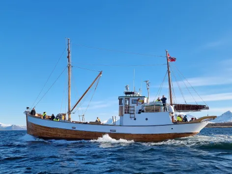 Båt seiler i sjøen.