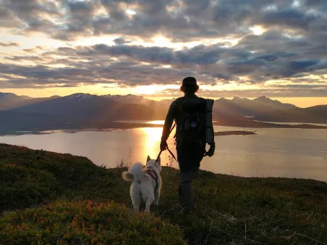 Fjelltur med hund midnattssol