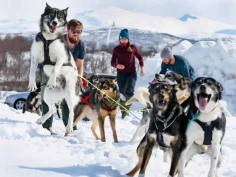 dog sledding  around the Malangen