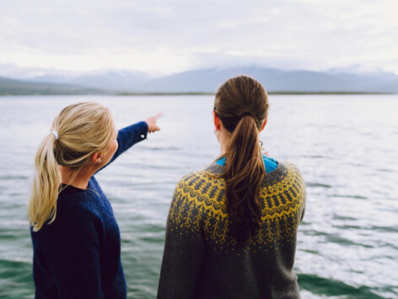 To venninner som nyter en utsikt i Tromsø
