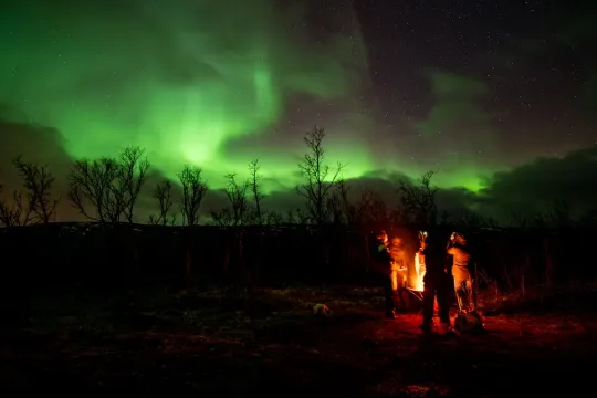 Northern Lights Hunt