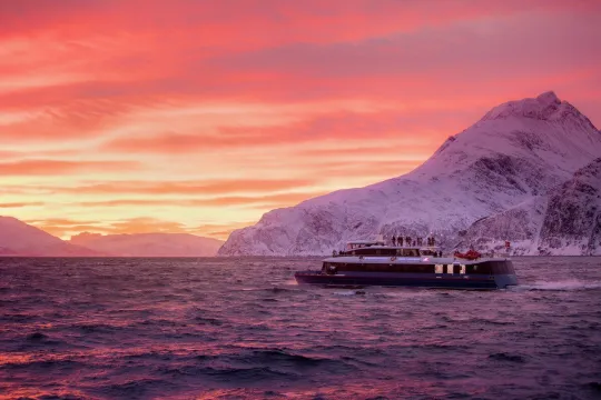 Båten Rygerdronningen på hvalsafaritur med Rødne Fjord Cruise i Tromsøregionen