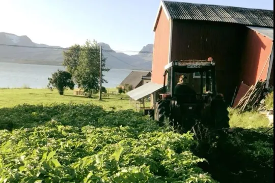 En traktor kjører på gården en fin sommerdag