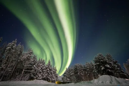 Arctic Guide Service Northern Lights over a forest