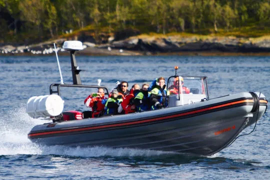 Tre timers RIB-båt safari til vakre Hella