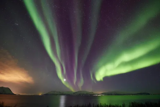 Nordlys fototur fra Tromsø