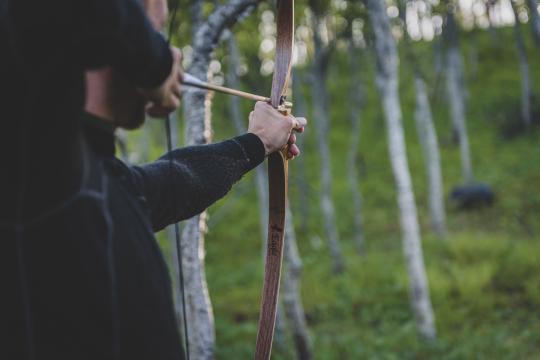 Bow Hunting Experience in the Forest