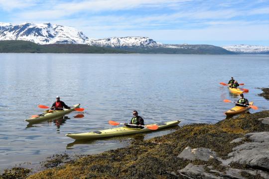 Kayaking, Visit Tromso