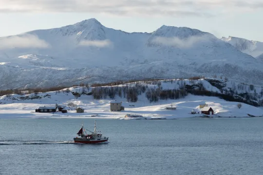 Vinter Kvaløya Fjord Tour