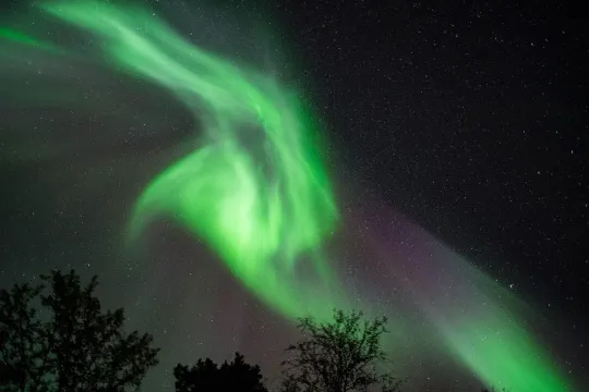 Northern lights near Tromsø