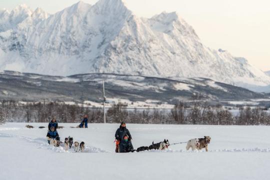 Hundeslede utenfor Tromsø