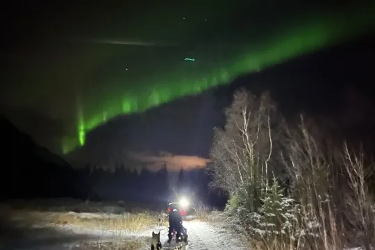 Hundekjøring i vakre Skibotndalen kveldstur