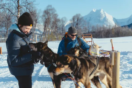 Husky Experience & Dog Sled Driving - Noon Tour