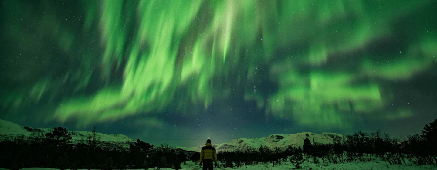 A person under the northern lights