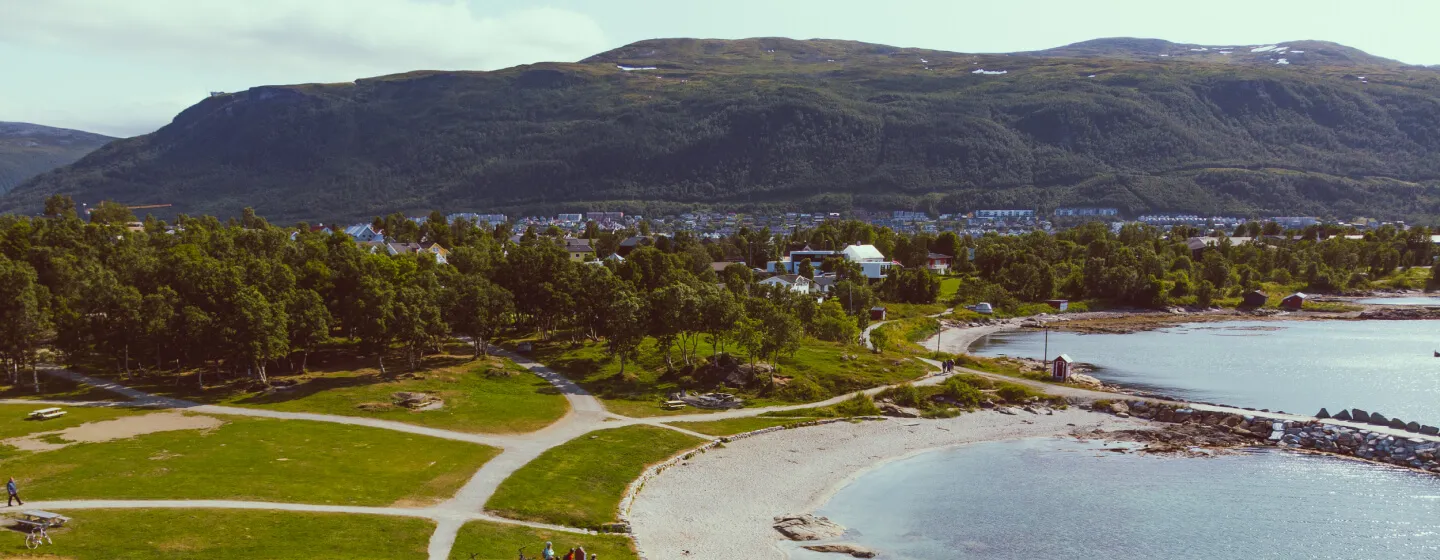 Sommer i Telegrafbukta i Tromsø