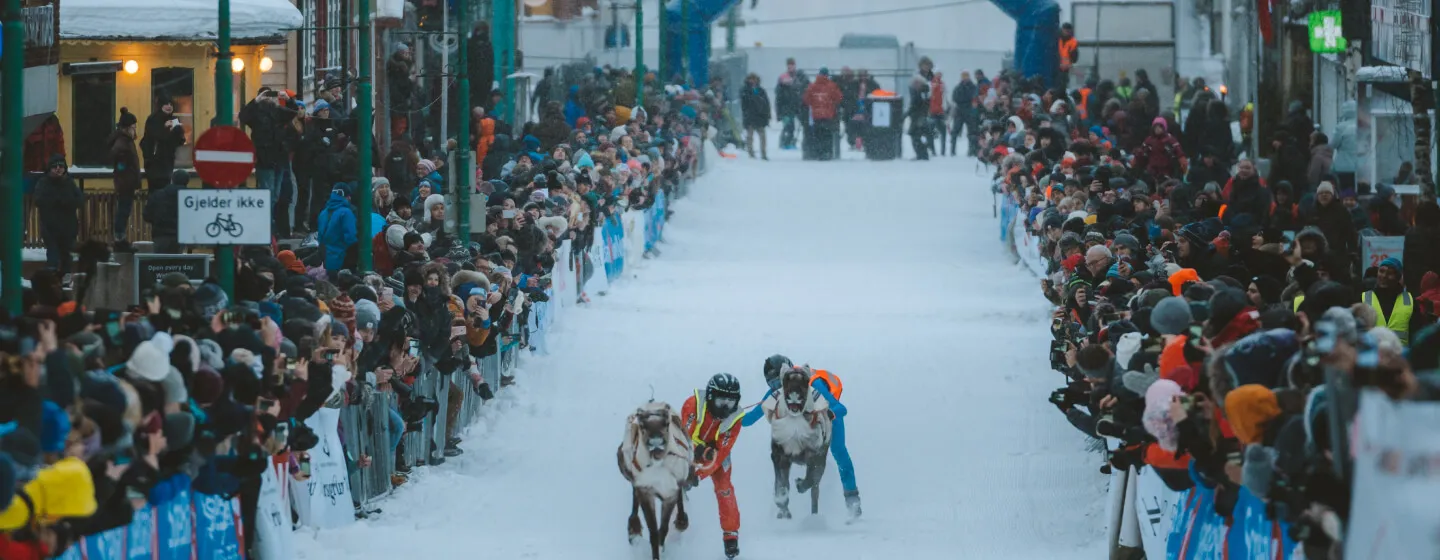 Reindeer sled race in the main street of Tromsø