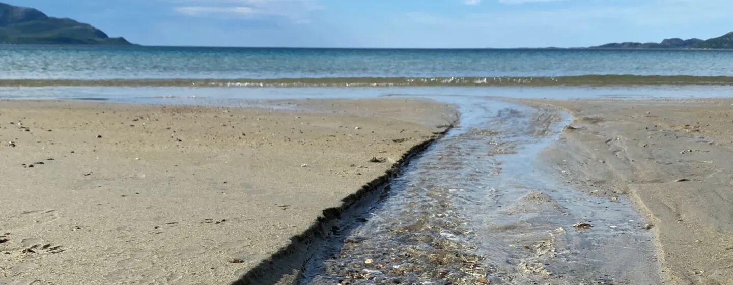 Nærbilde av stranden i Grøtfjord