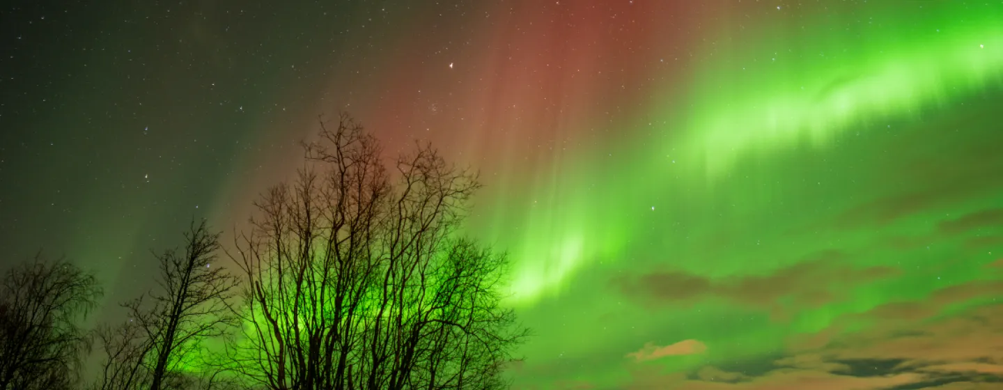 Northern lights in the sky