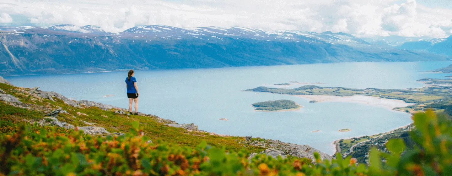 View over Lyngenfjord from above