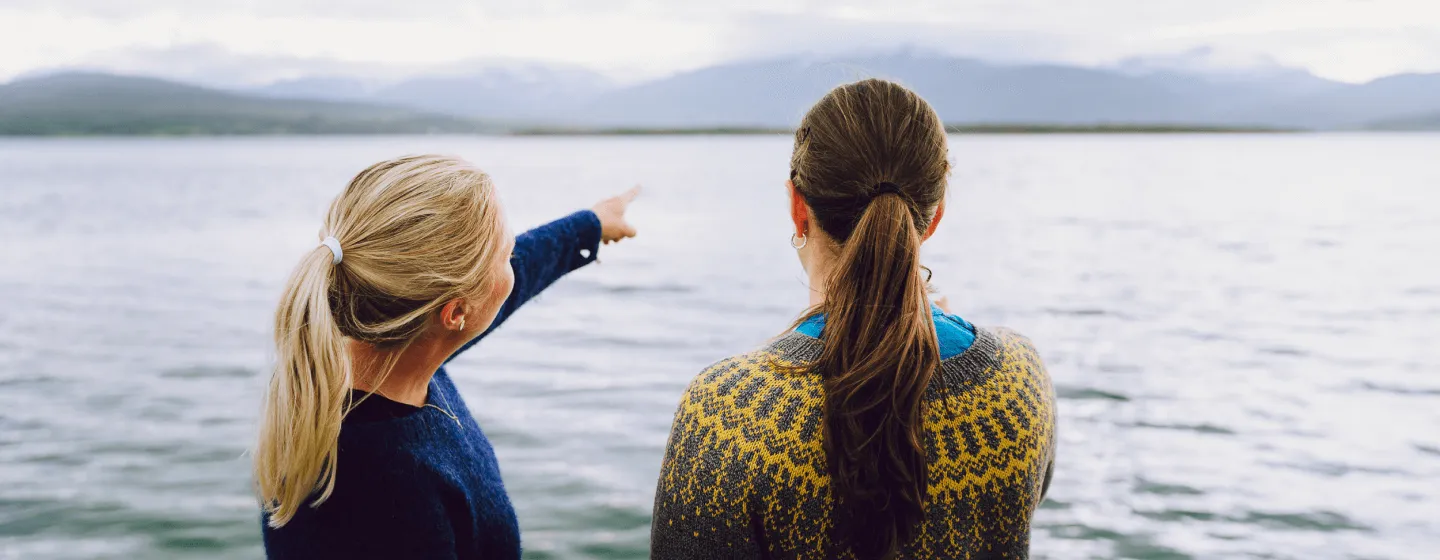 People pointing and looking at the view