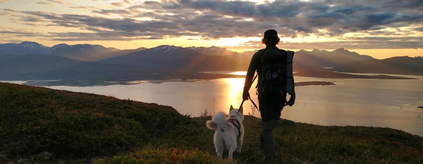 Fjelltur med hund midnattssol