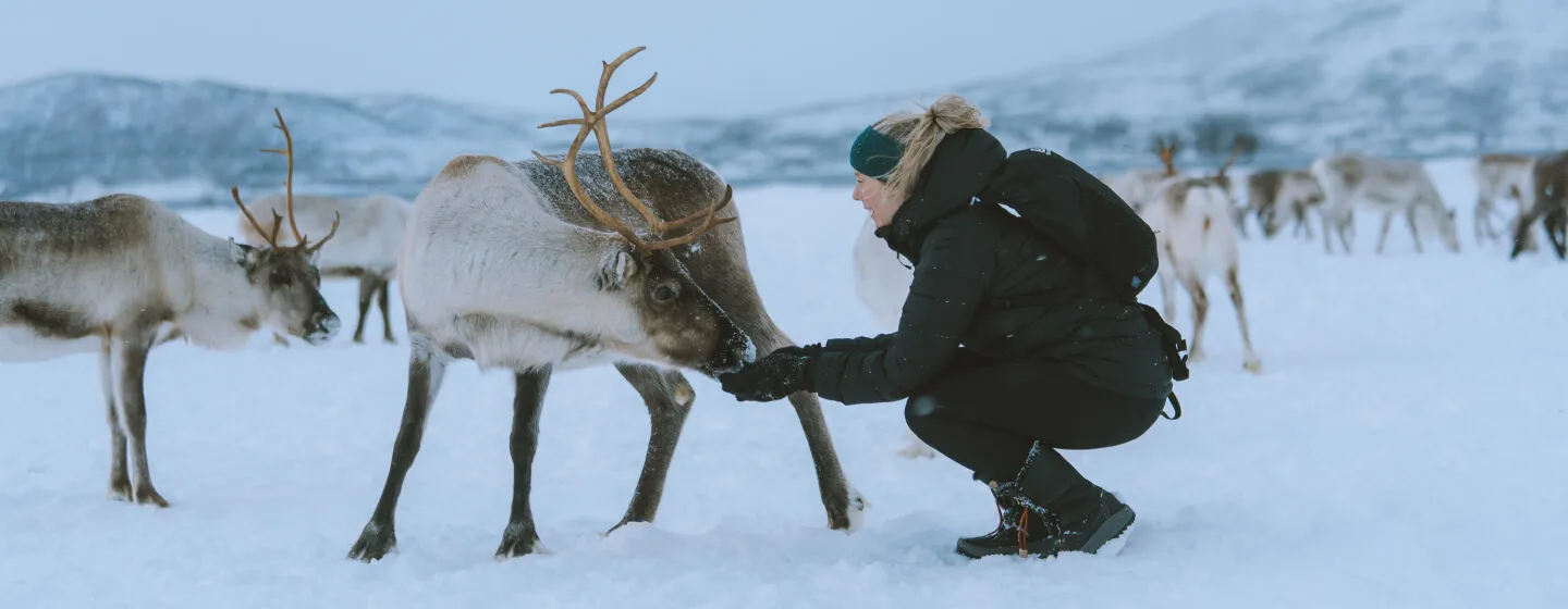 Sami Experience with reindeer © Vegard Stien