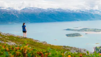 View over Lyngenfjord from above